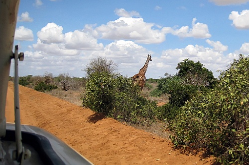 Kenia (282)